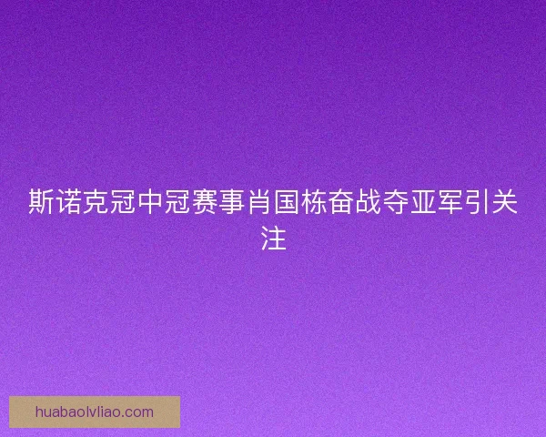 斯诺克冠中冠赛事肖国栋奋战夺亚军引关注