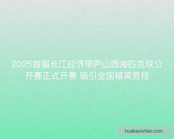 2025首届长江经济带庐山西海匹克球公开赛正式开赛 吸引全国精英竞技