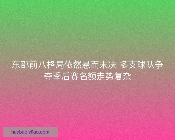 东部前八格局依然悬而未决 多支球队争夺季后赛名额走势复杂